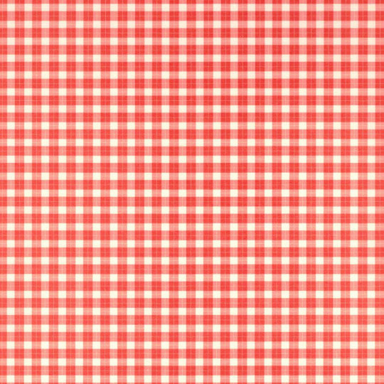 Red and White Gingham Italian Paper ~ Tassotti ~ Reversible Print